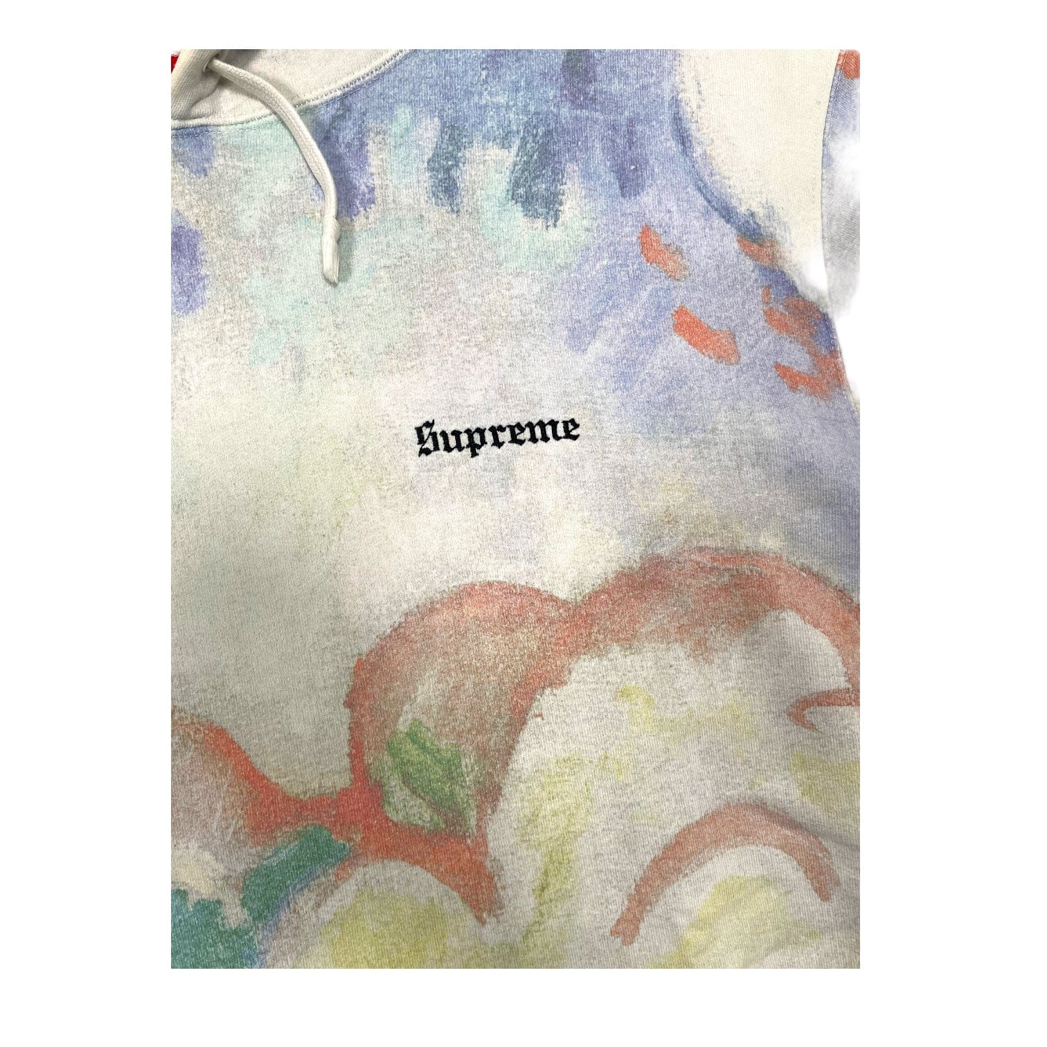 PRE-OWNED Supreme Landscape Hoodie Large (L) S/S 2018