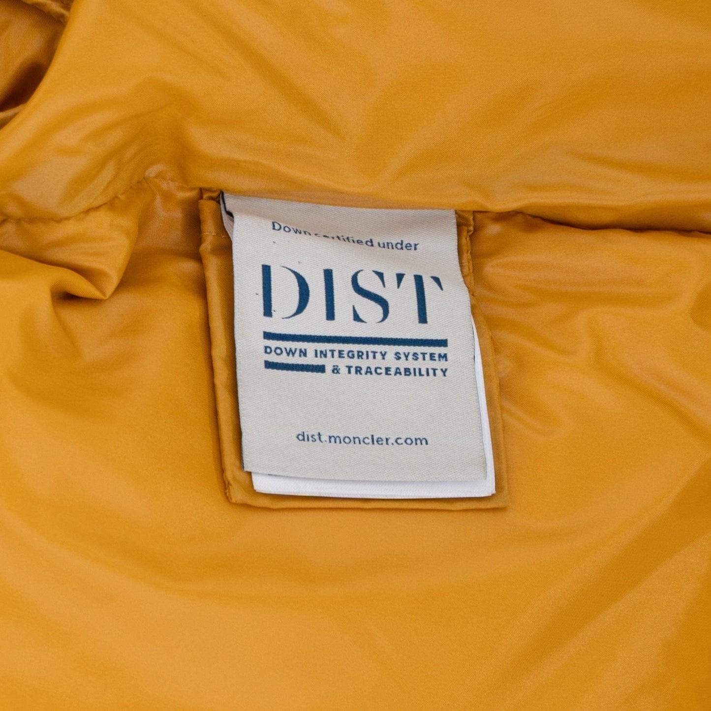 57e939dd-d7c7-4283-b485-86095b28b97d