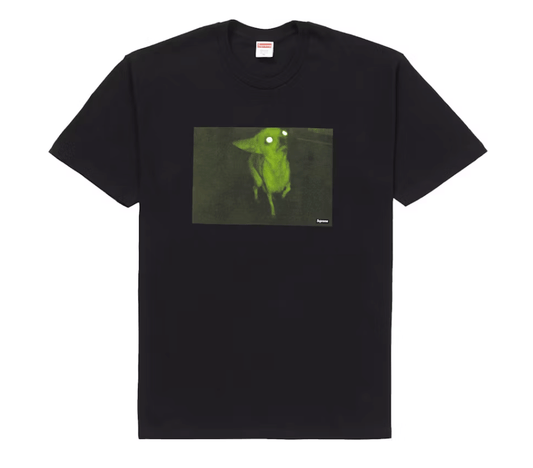 6b1d5f1c-96f5-4794-88b9-e62139cbd202