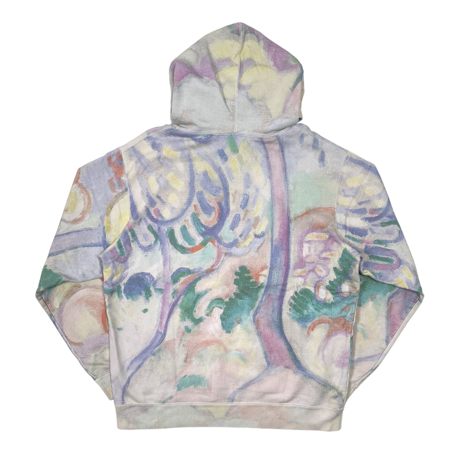 Supreme landscape 2024 hoodie fake