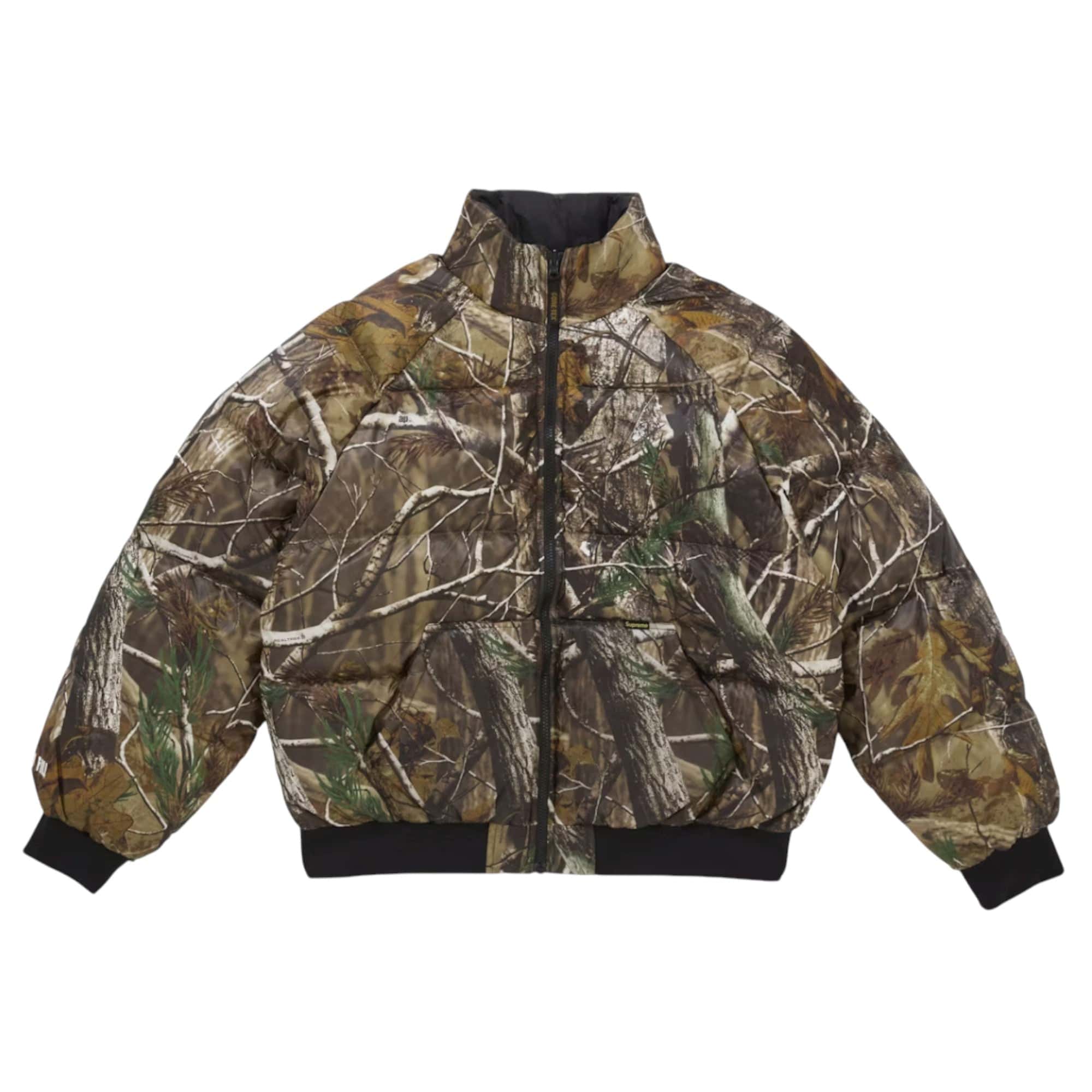 Supreme 2-in-1 GORE-TEX Parka + Reversible 700-Fill Down Liner Jacket