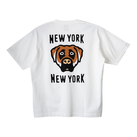 e767aff4-f6a0-42ef-bda2-0d58d9b32dce