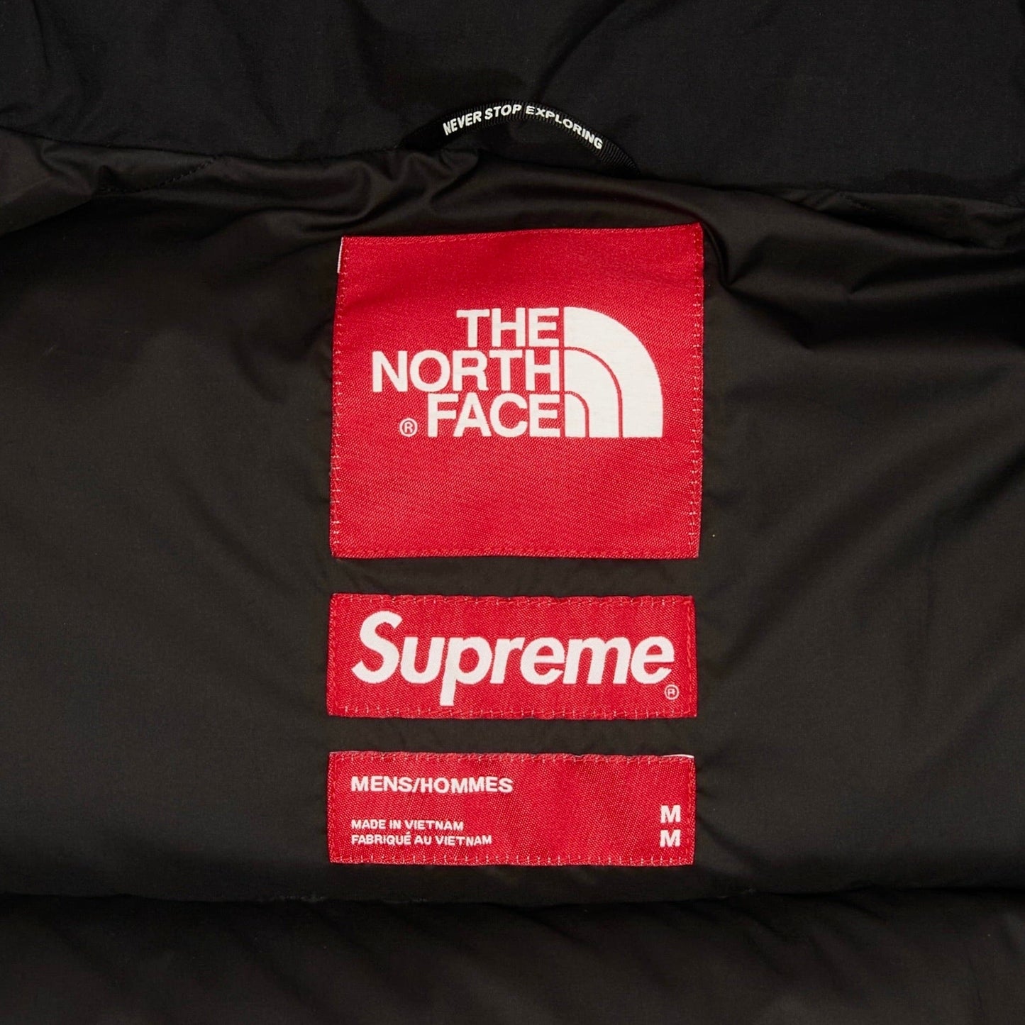 ff77b5c5-08ea-4b57-9feb-576b95cef856